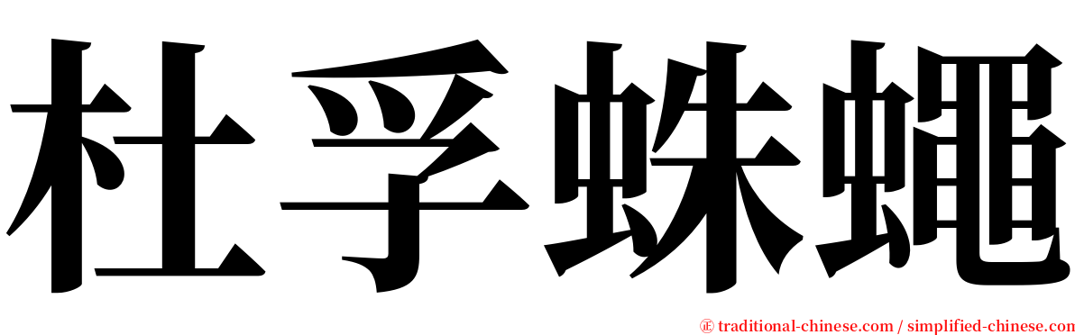 杜孚蛛蠅 serif font