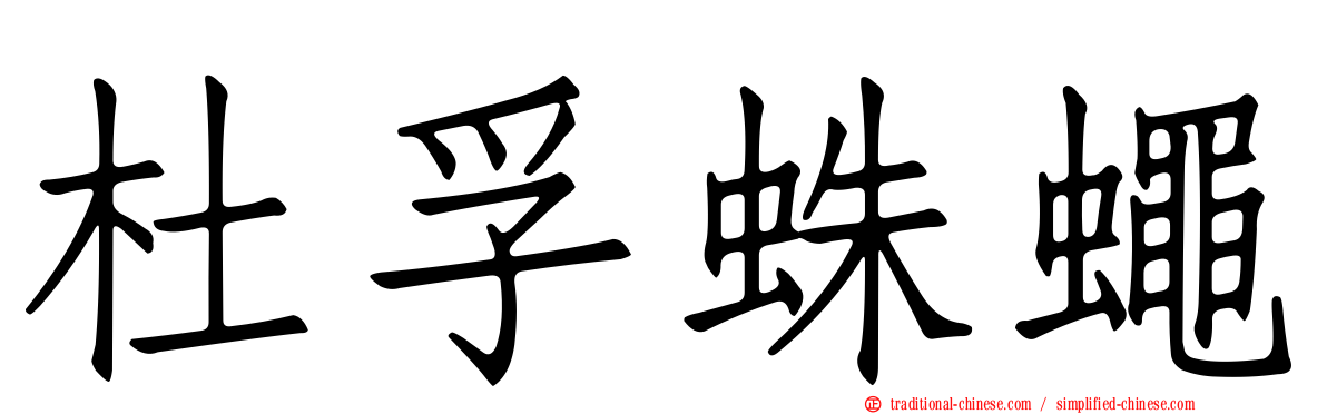 杜孚蛛蠅