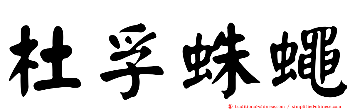 杜孚蛛蠅