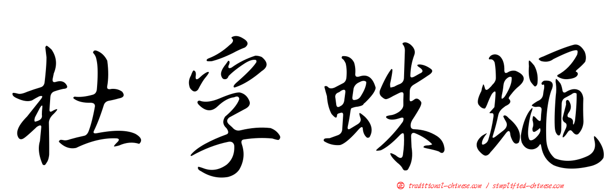 杜孚蛛蠅