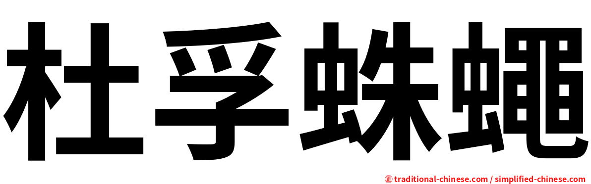 杜孚蛛蠅