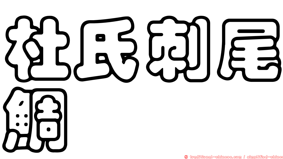 杜氏刺尾鯛