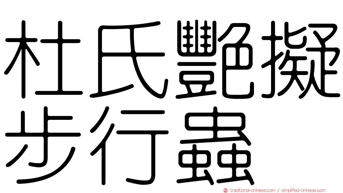 杜氏艷擬步行蟲