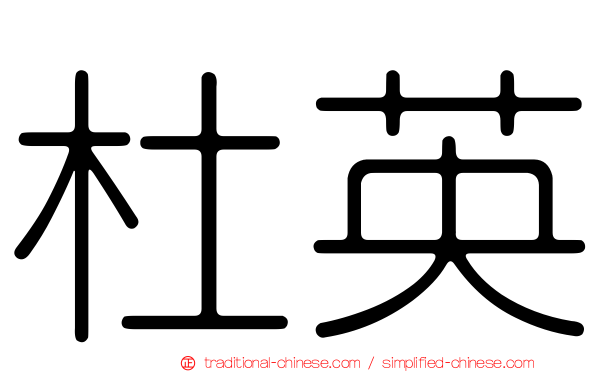杜英