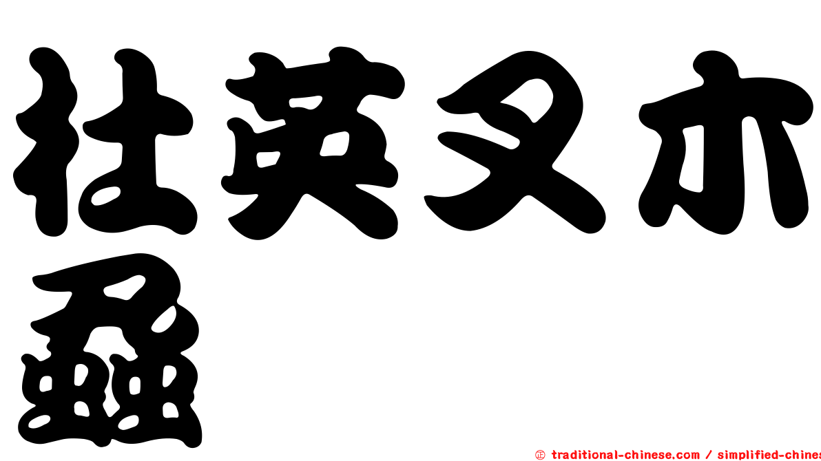 杜英叉木蝨