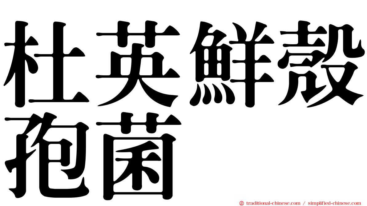 杜英鮮殼孢菌
