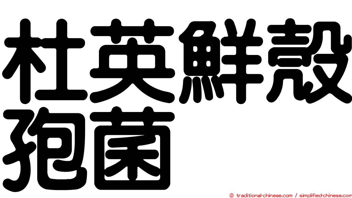杜英鮮殼孢菌