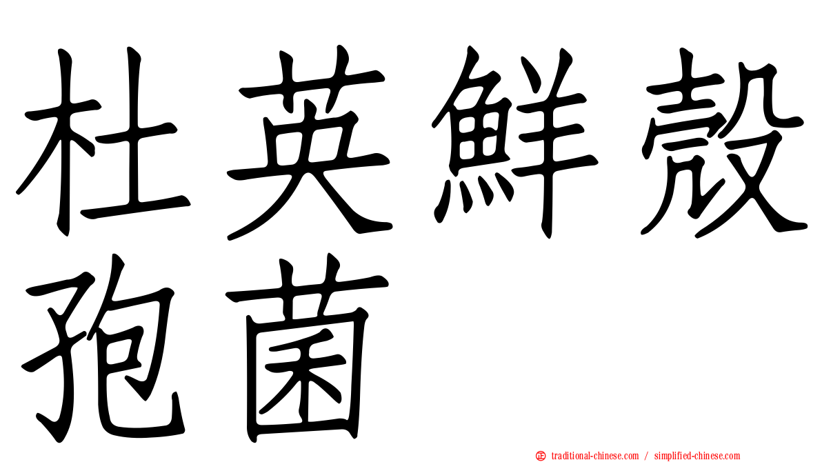 杜英鮮殼孢菌