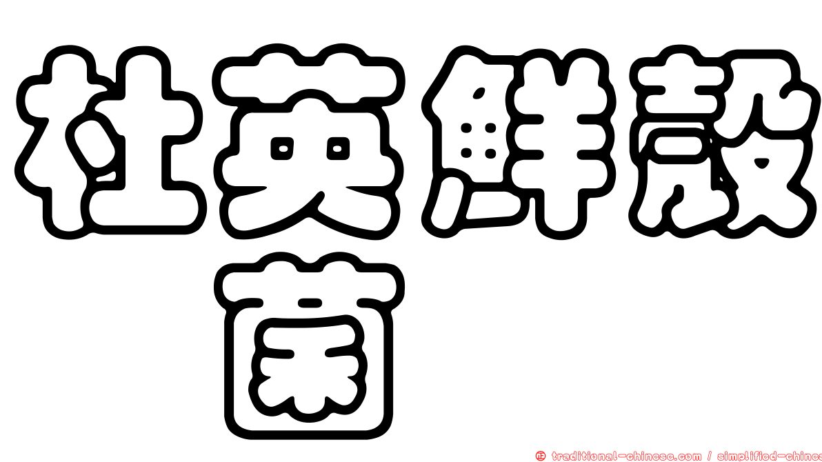 杜英鮮殼孢菌