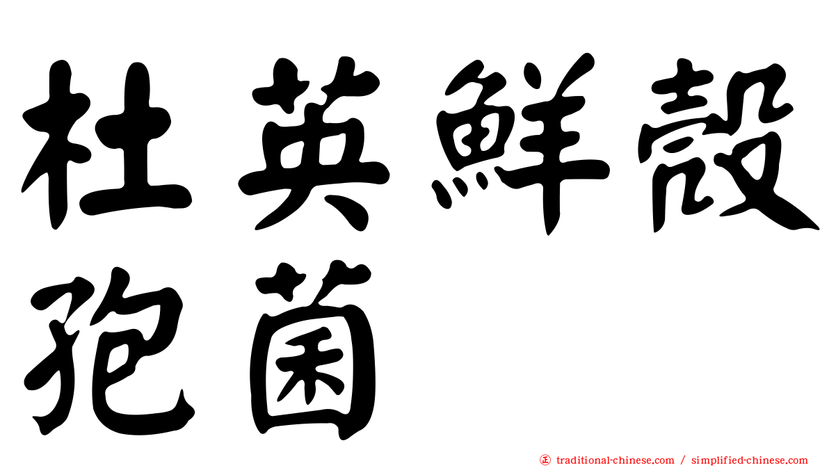 杜英鮮殼孢菌