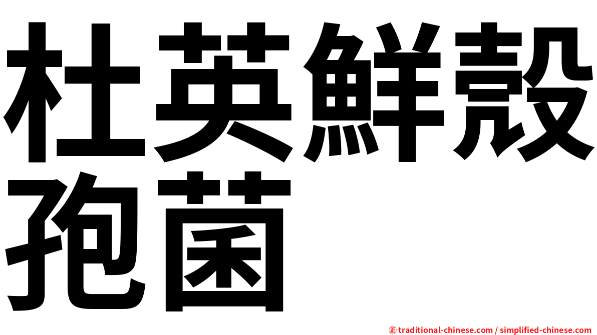 杜英鮮殼孢菌
