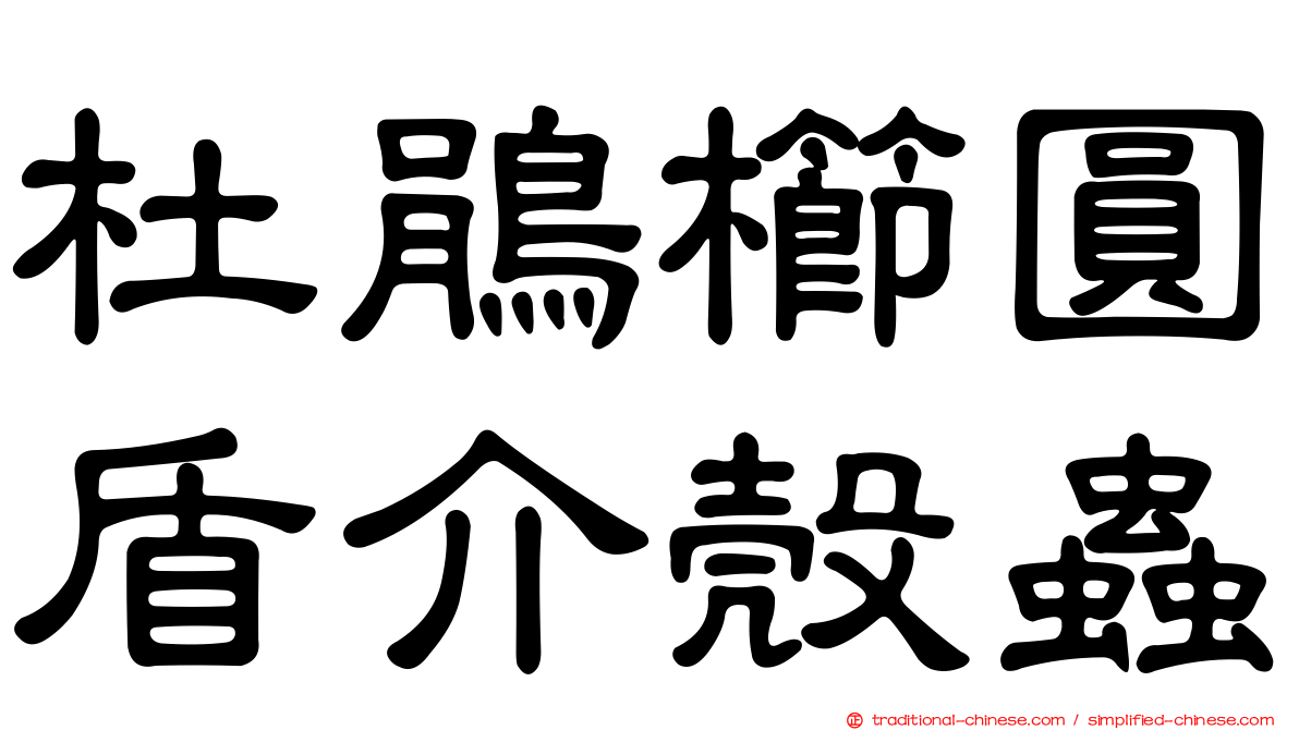 杜鵑櫛圓盾介殼蟲