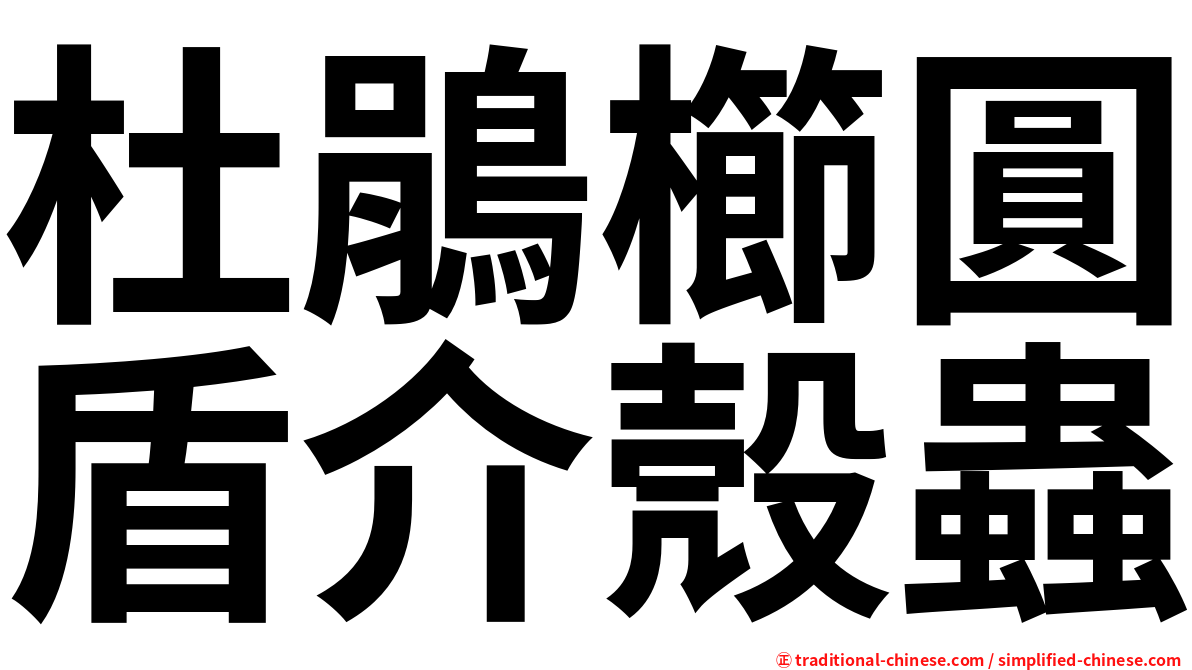杜鵑櫛圓盾介殼蟲