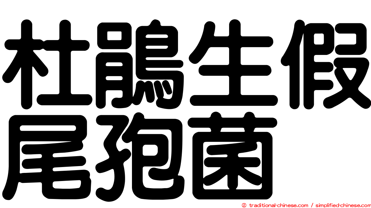 杜鵑生假尾孢菌