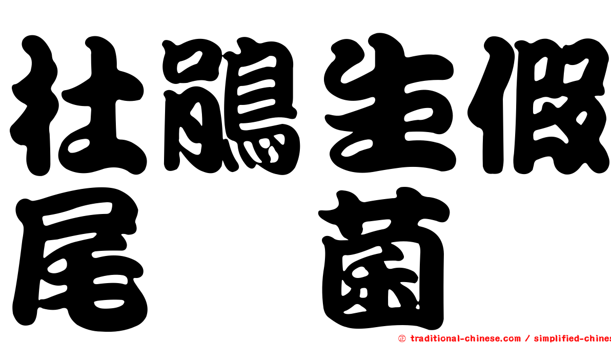 杜鵑生假尾孢菌