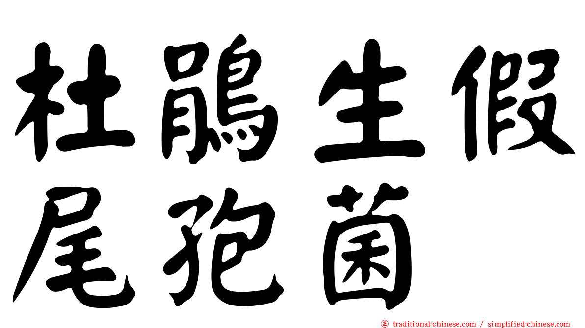杜鵑生假尾孢菌