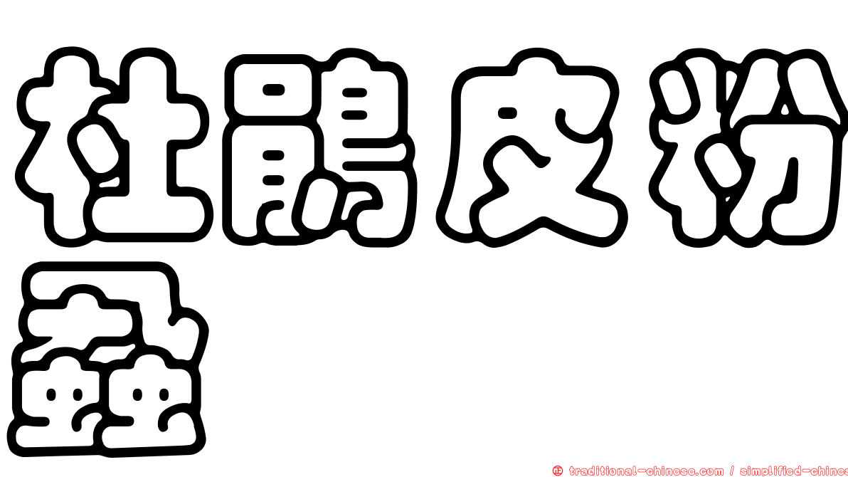 杜鵑皮粉蝨