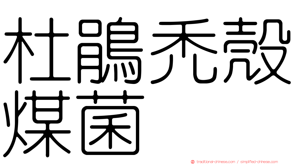 杜鵑禿殼煤菌
