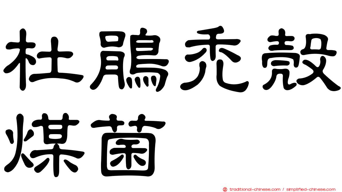杜鵑禿殼煤菌