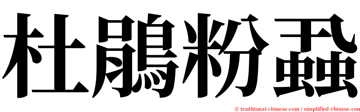 杜鵑粉蝨 serif font