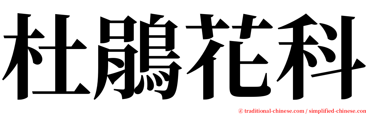杜鵑花科 serif font