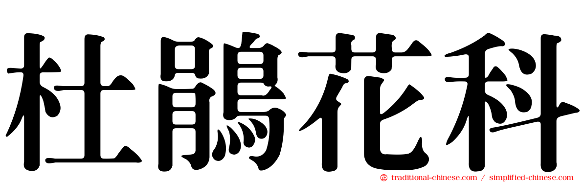 杜鵑花科