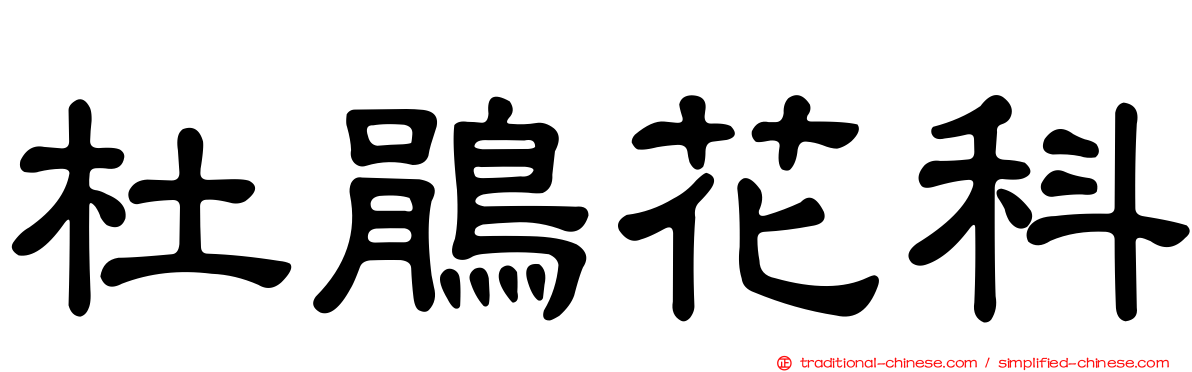 杜鵑花科
