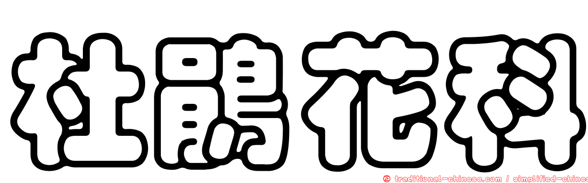 杜鵑花科