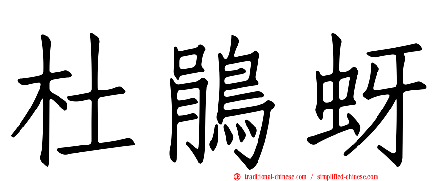 杜鵑蚜