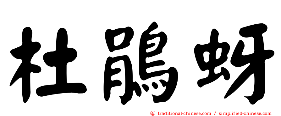 杜鵑蚜