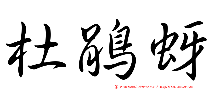 杜鵑蚜