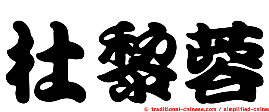 杜黎蓉