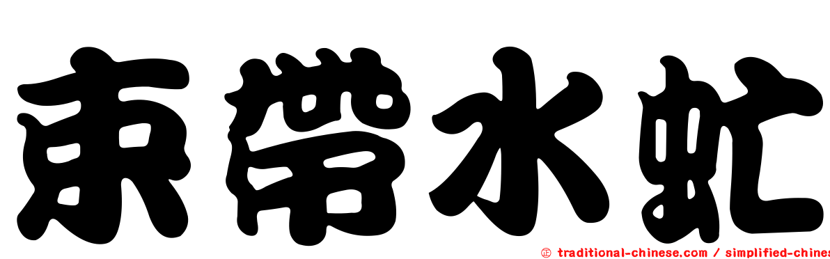 束帶水虻