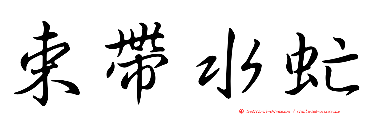束帶水虻
