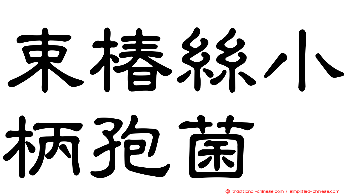 束椿絲小柄孢菌