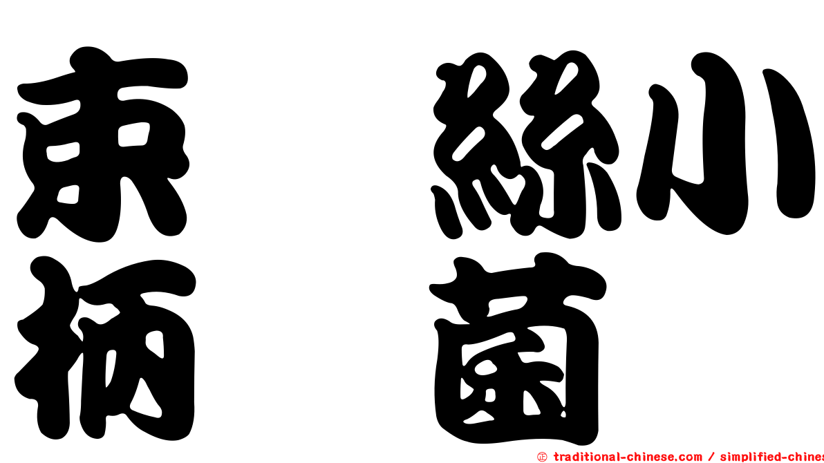 束椿絲小柄孢菌