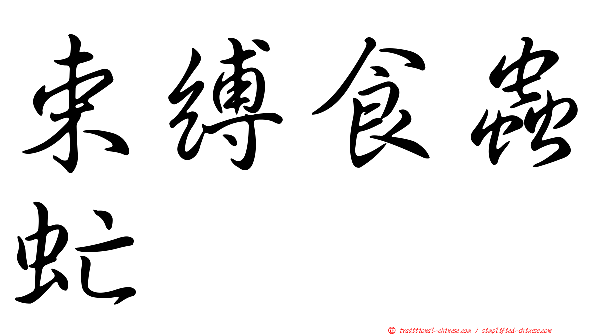 束縛食蟲虻