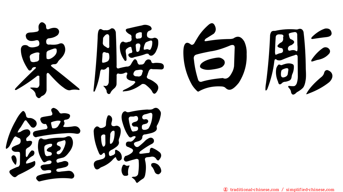 束腰白彫鐘螺