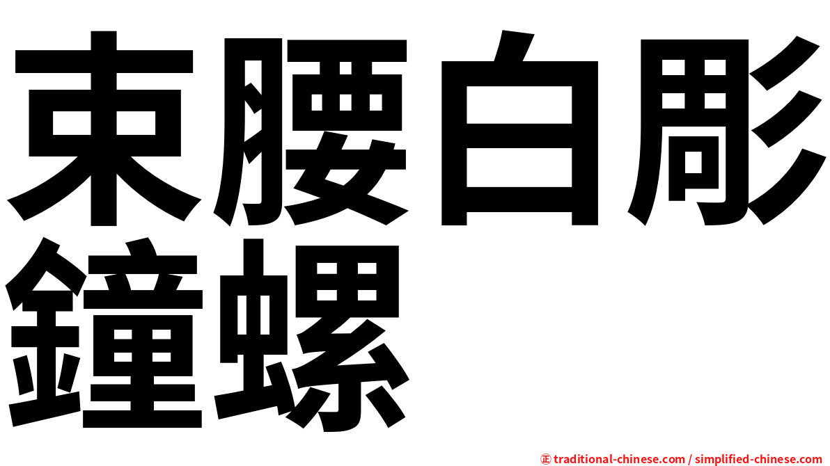 束腰白彫鐘螺