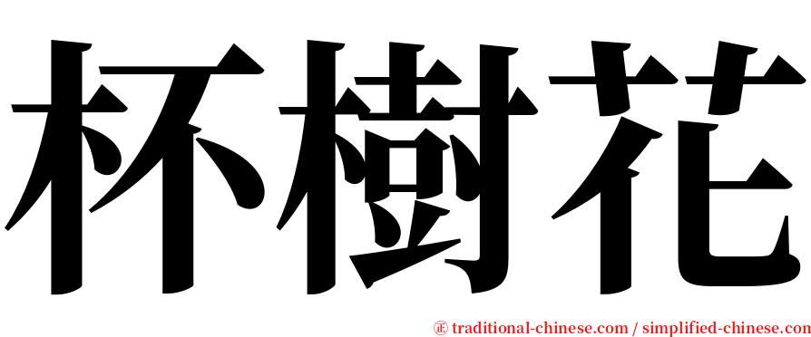 杯樹花 serif font