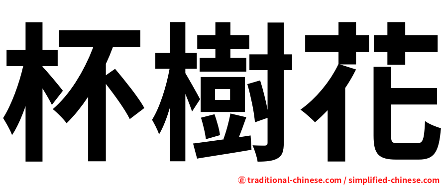 杯樹花