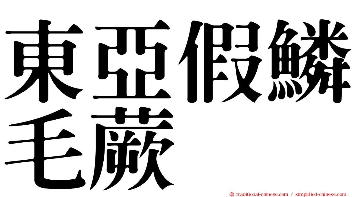 東亞假鱗毛蕨