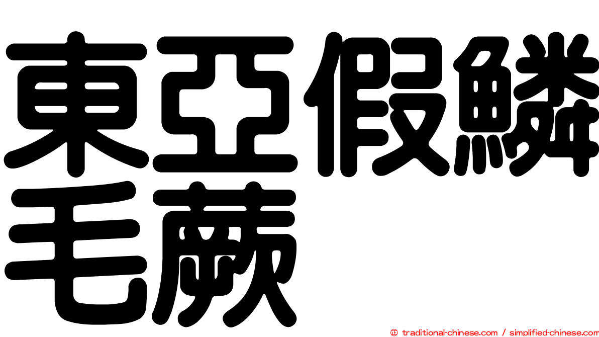 東亞假鱗毛蕨