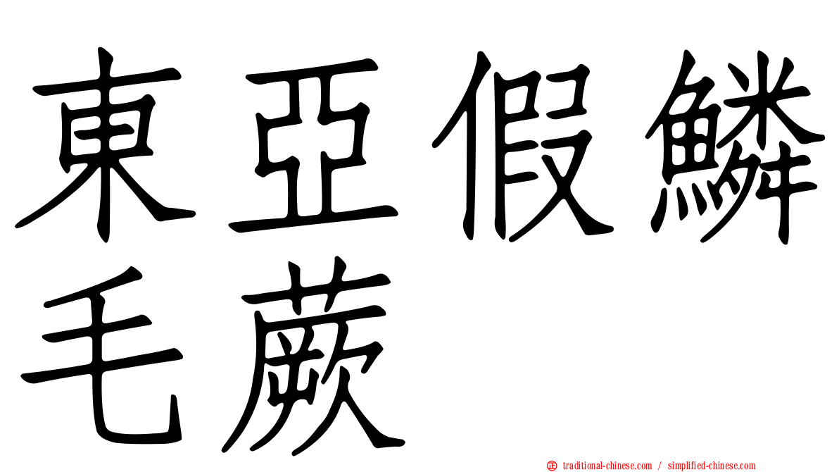 東亞假鱗毛蕨