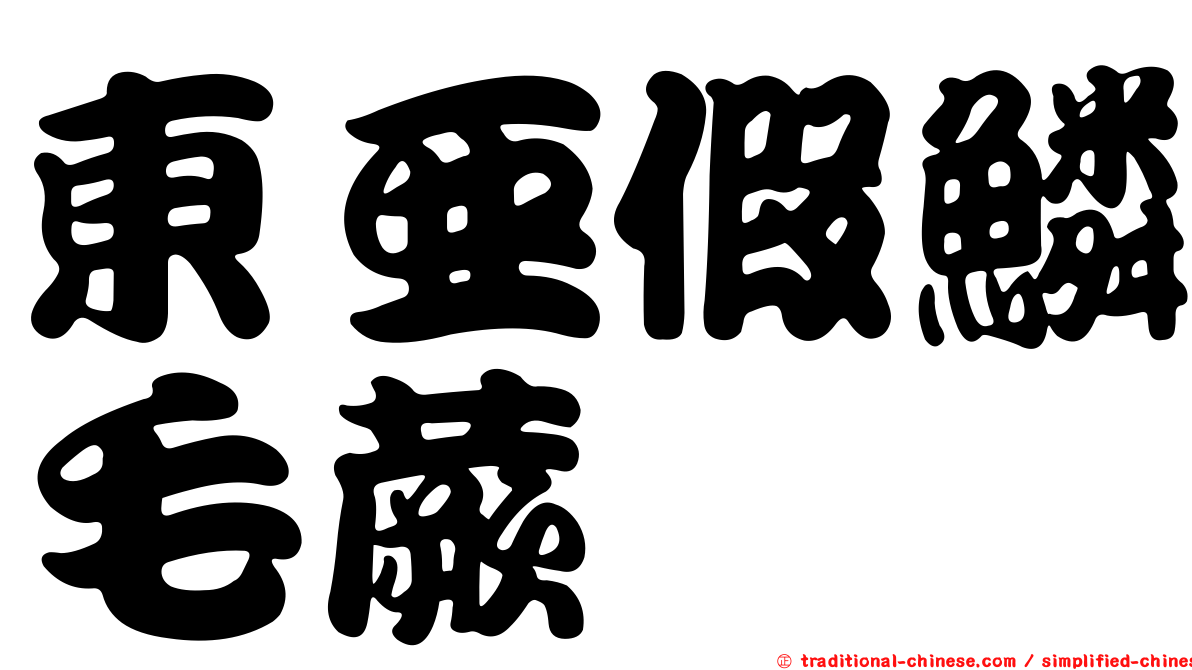東亞假鱗毛蕨