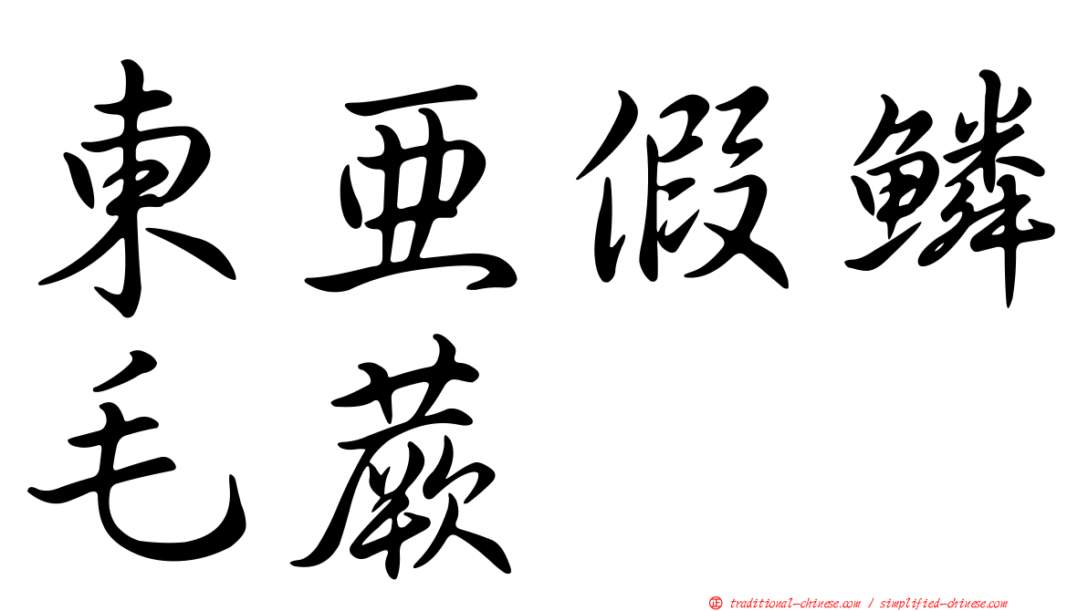 東亞假鱗毛蕨