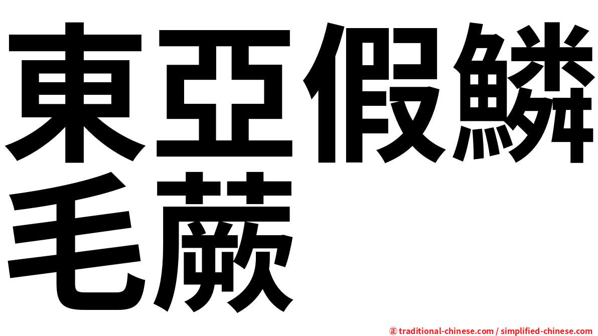 東亞假鱗毛蕨