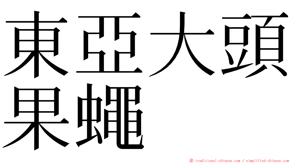 東亞大頭果蠅 ming font
