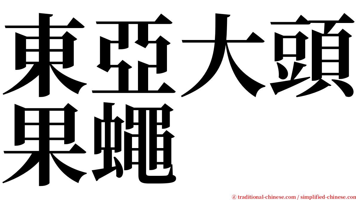 東亞大頭果蠅 serif font