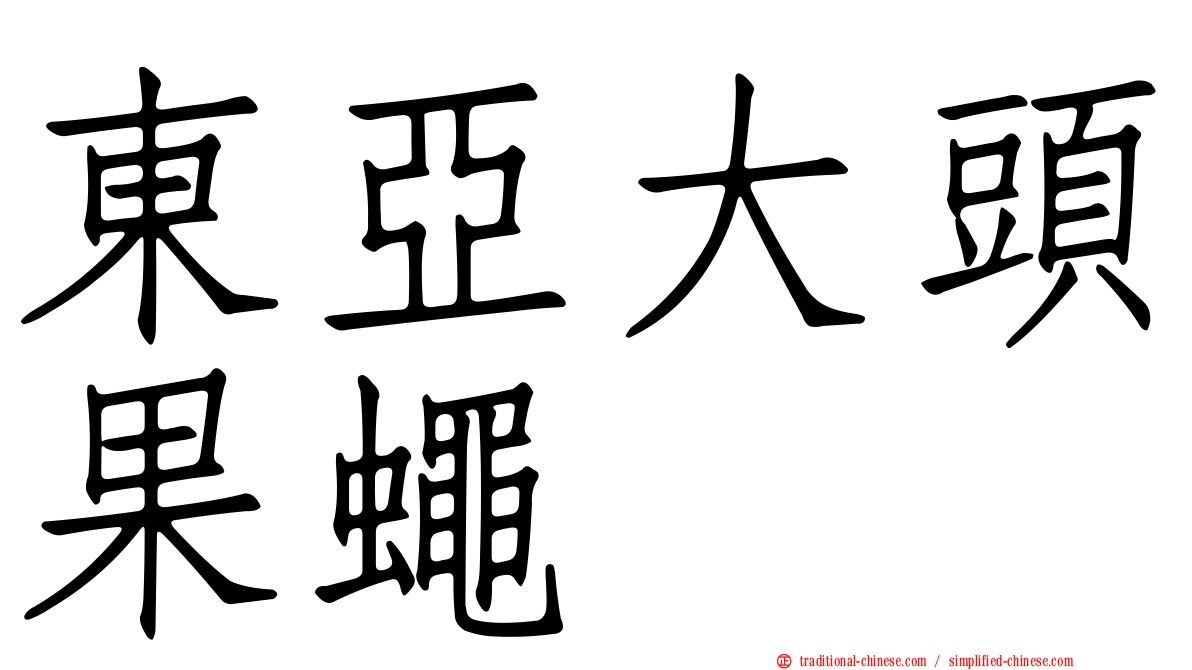 東亞大頭果蠅